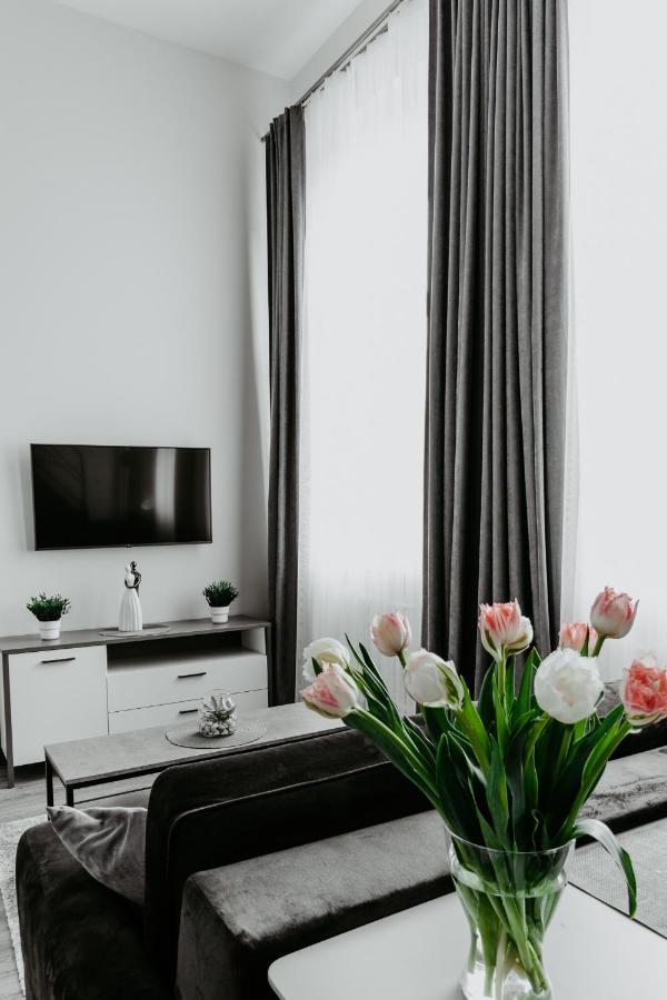 Familia Apartments ヴィリニュス エクステリア 写真